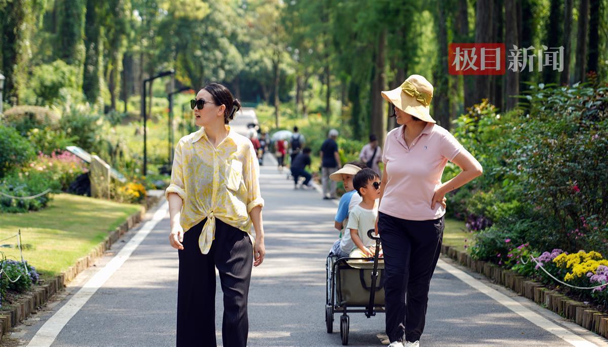 自助领取8—88体验金